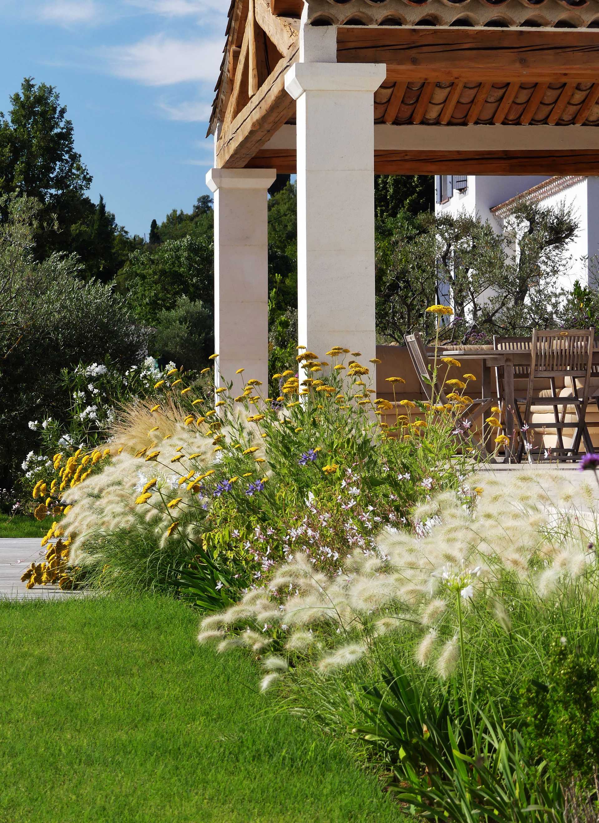 Landscaping of a Provencal garden by a landscape architect